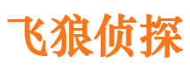 桑日市私家侦探